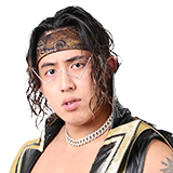 ガイア・ホックス